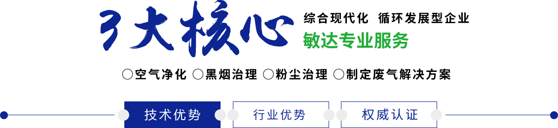 高h视频自拍敏达环保科技（嘉兴）有限公司